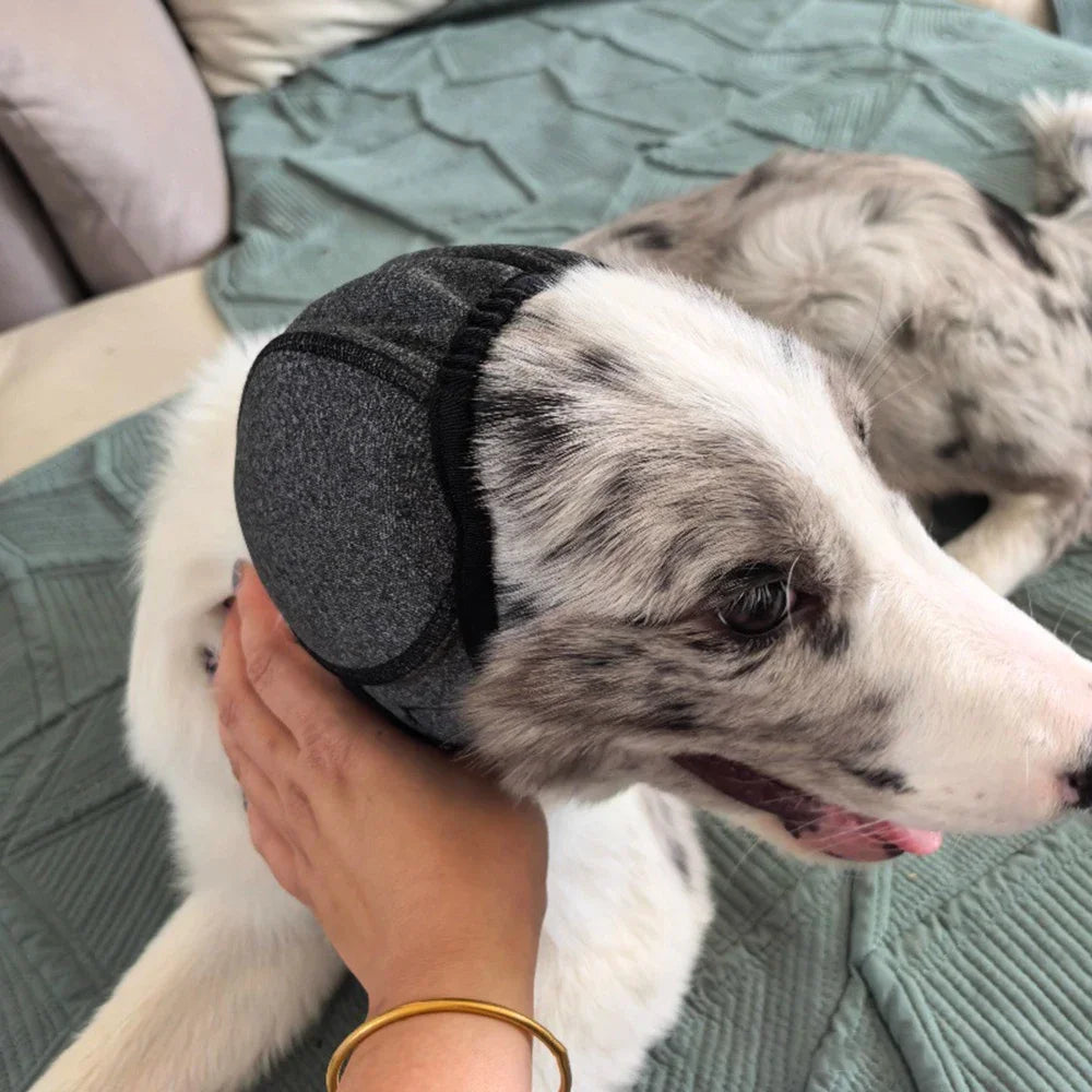 Calming Dog Ear Protection Hood
