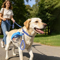 Portable Pet Travel Water Bottle Leak-Proof Dog & Cat Water Bottle