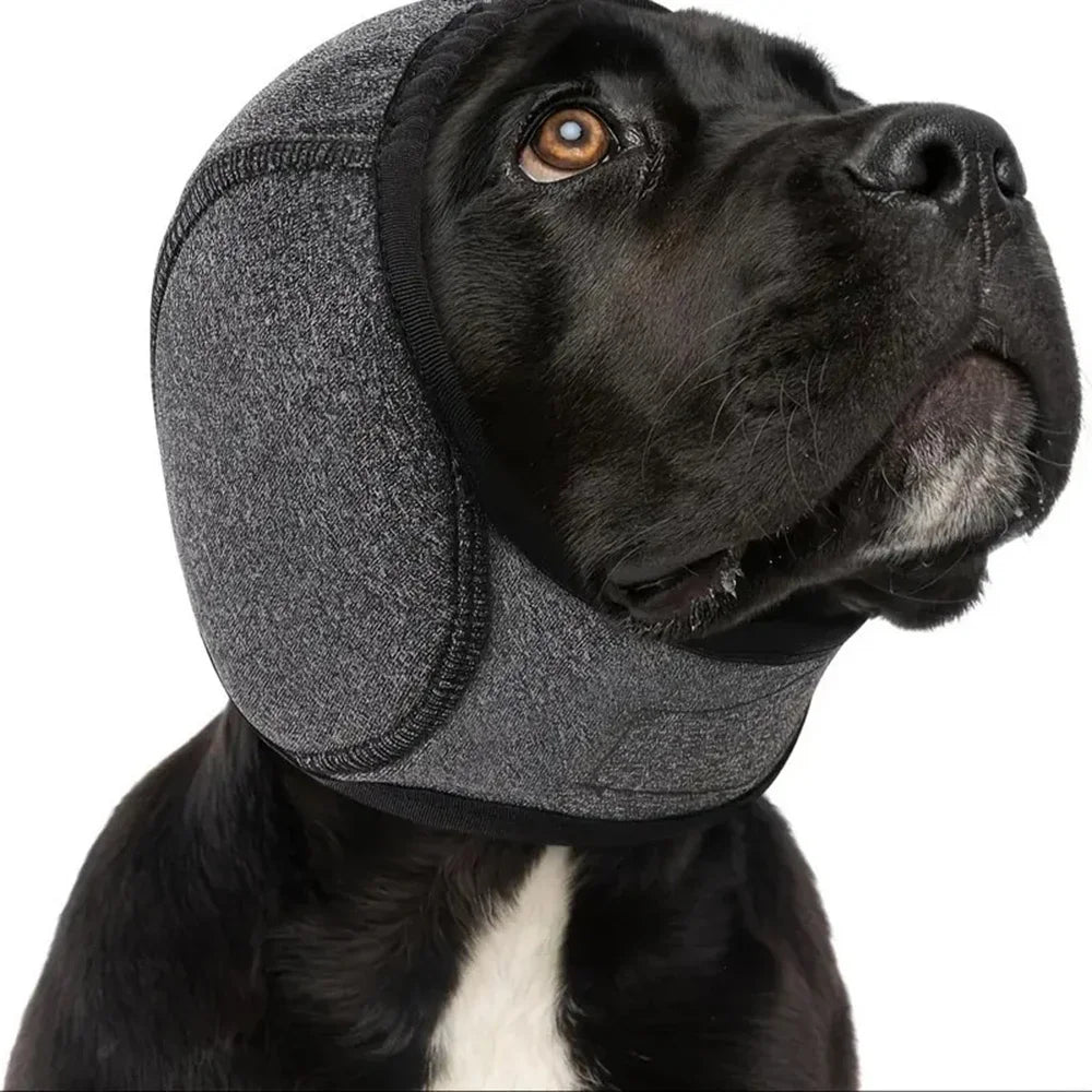 Calming Dog Ear Protection Hood